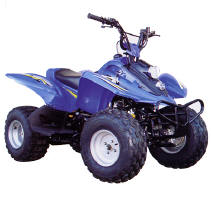 Lifan LF100ST-5